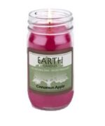 Earth Cinnamon Apple Candle